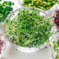 Garlic Chives Micro Leaf (fresh)